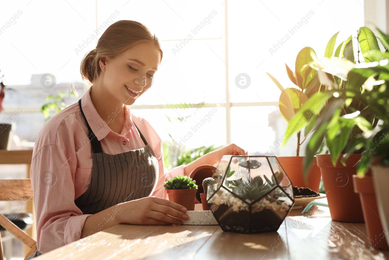 Photo of Young beautiful woman taking care of home plants at wooden table indoors