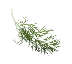 Sprig of fresh dill isolated on white