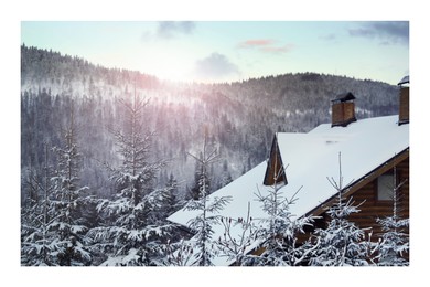 Paper photo. Fir trees and house covered with snow outdoors on winter day