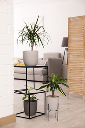 Photo of Beautiful plants in room. Elements of interior design