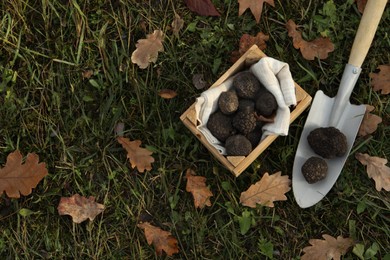 Photo of Wooden crate and shovel with fresh truffles on green grass, flat lay. Space for text
