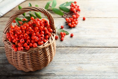 Photo of Fresh ripe rowan berries with green leaves on wooden table, space for text