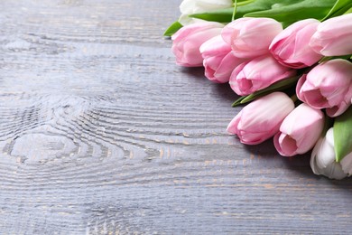 Beautiful pink spring tulips on grey wooden background, space for text