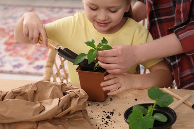 Photo of Mother and daughter planting seedling in pot together at wooden table indoors, closeup