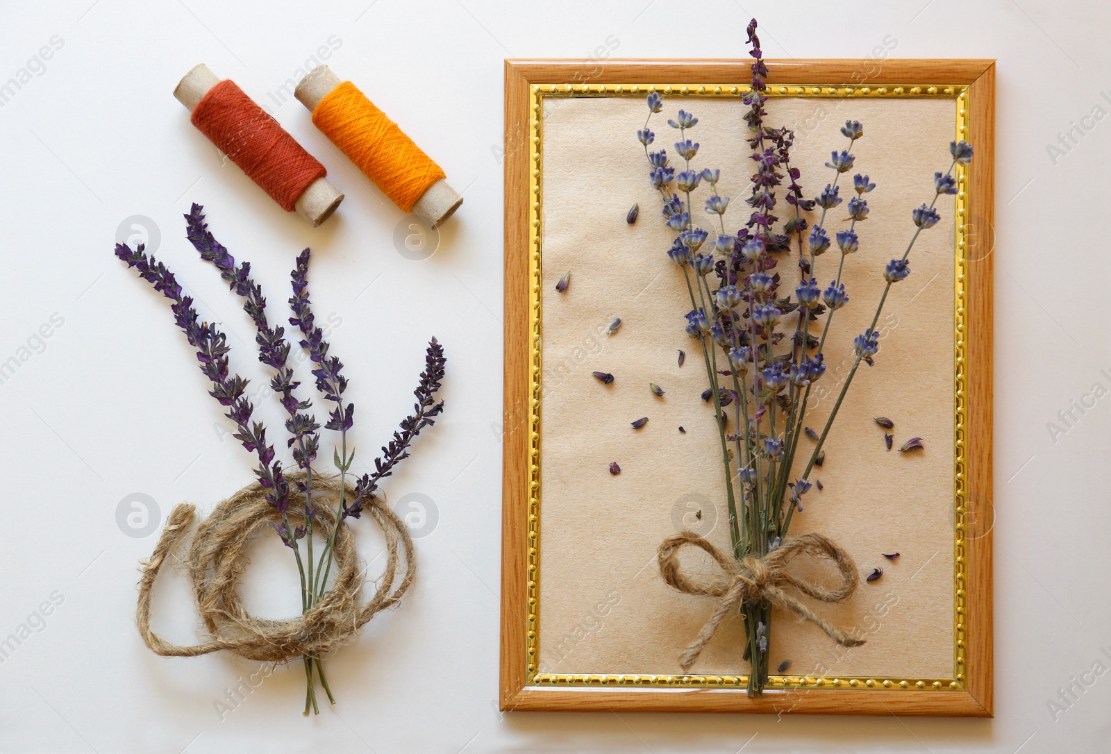 Photo of Flat lay composition with beautiful dried flowers on white background