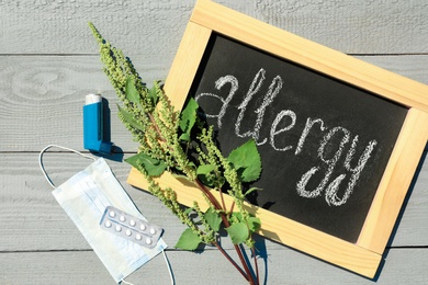 Ragweed plant (Ambrosia genus) medication and chalkboard with word "ALLERGY" on light wooden background, flat lay