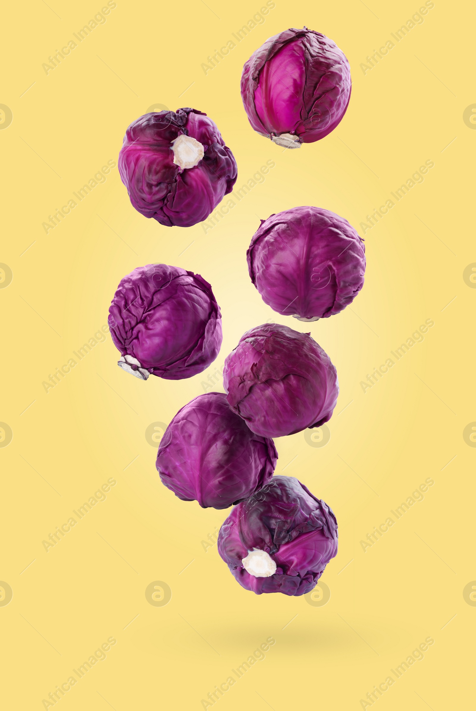 Image of Fresh red cabbages falling on pale yellow background