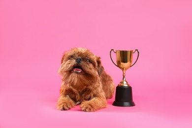 Photo of Cute Brussels Griffon dog with champion cup and medal on pink background