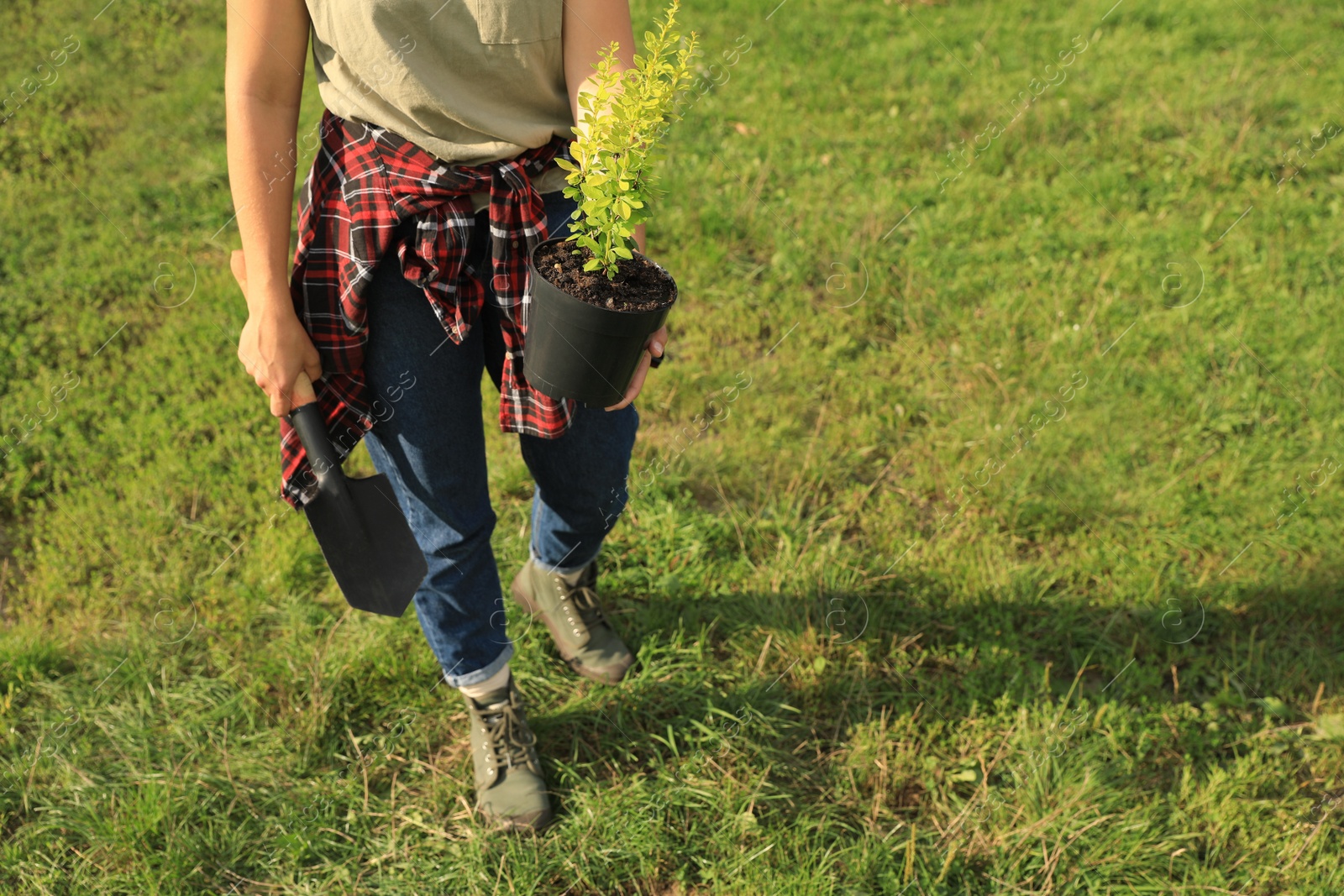 Photo of Woman with young green tree and trowel in garden, closeup. Space for text