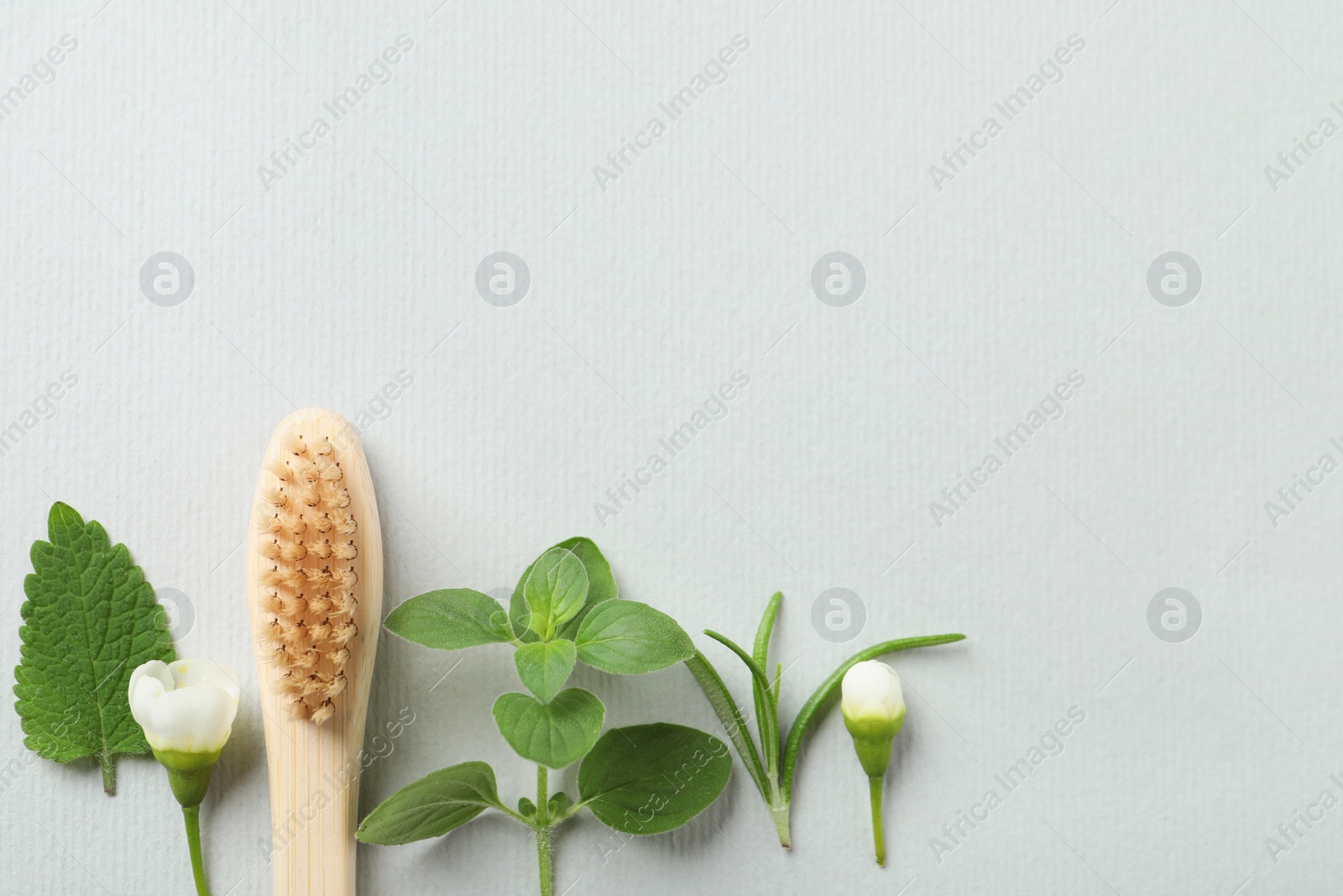 Photo of Flat lay composition with toothbrush and herbs on white background. Space for text