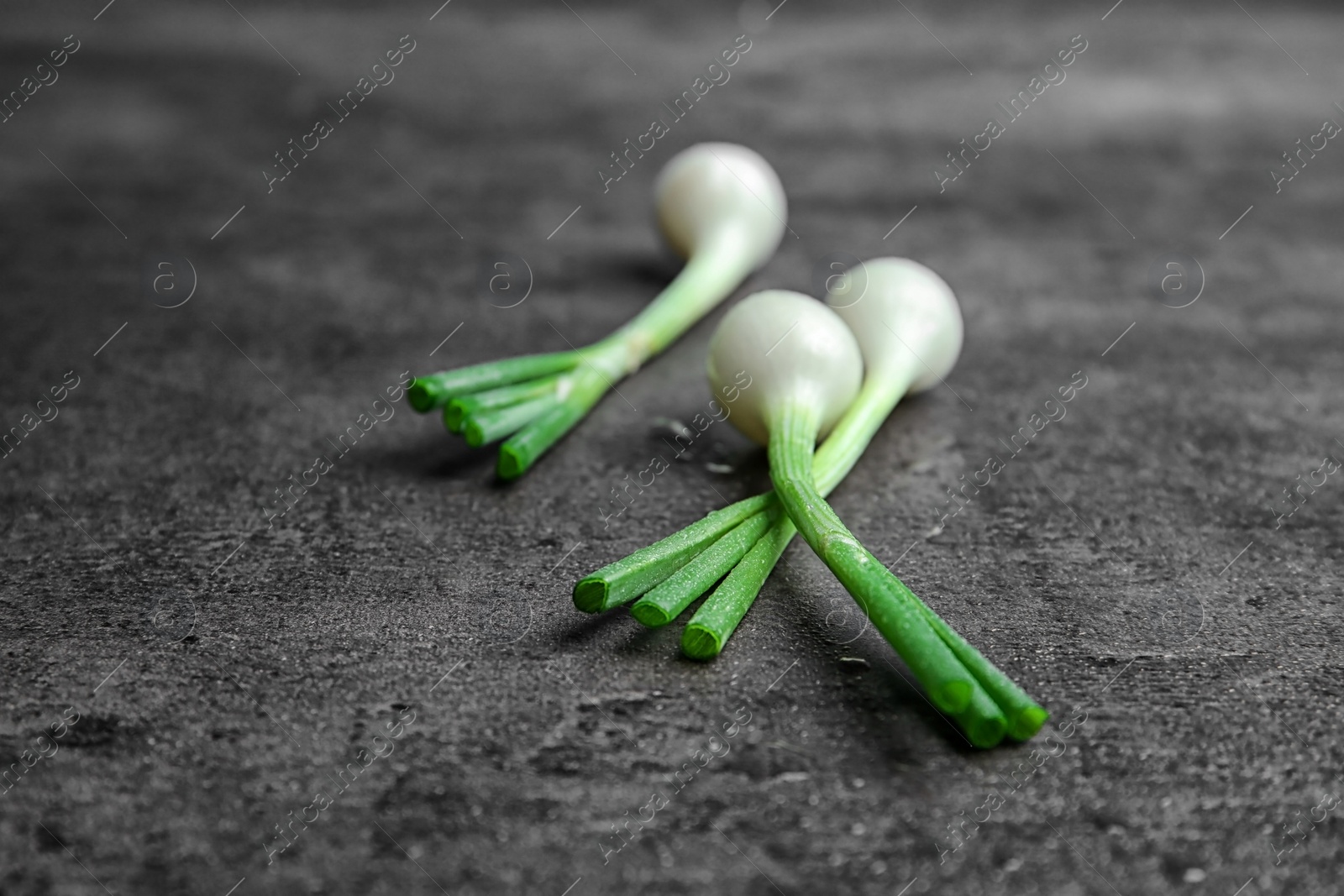 Photo of Fresh green onion on table