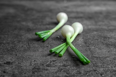 Fresh green onion on table