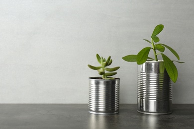 Beautiful houseplants in tin cans on grey stone table, space for text