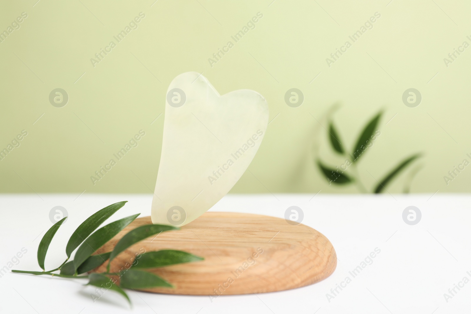 Photo of Jade gua sha tool  and green leaf on white table