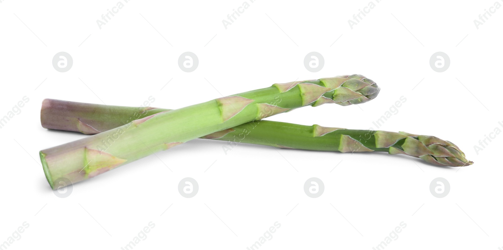 Photo of Fresh raw asparagus isolated on white. Healthy eating