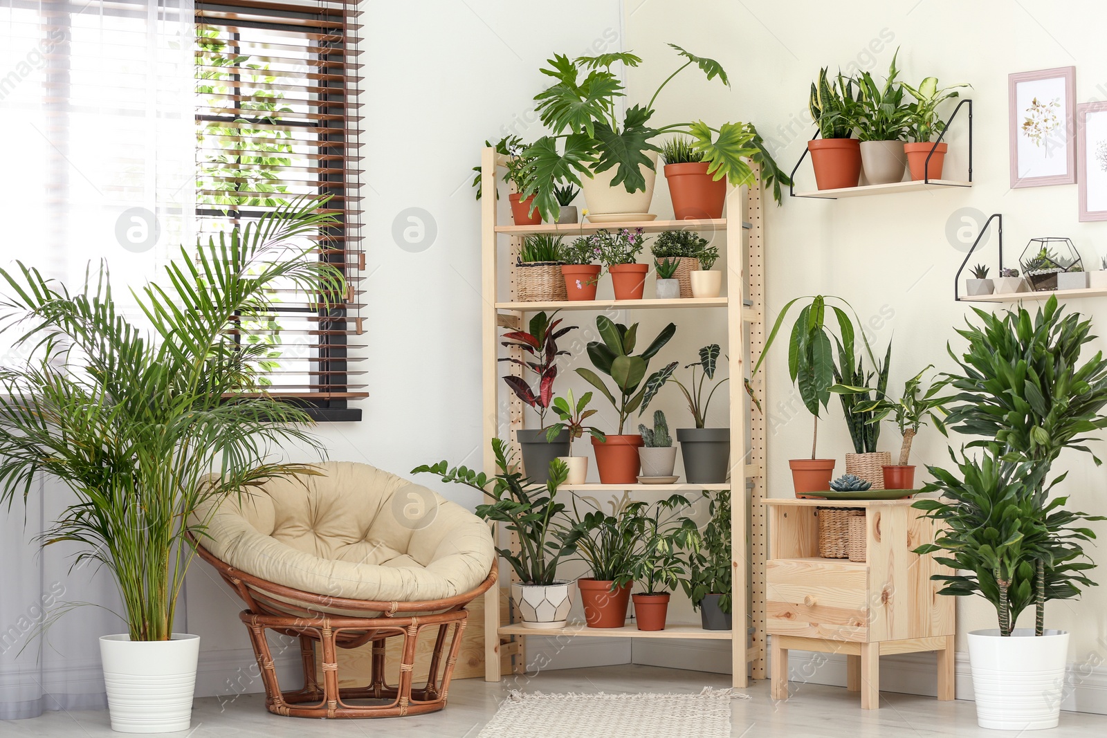 Photo of Stylish room interior with different home plants