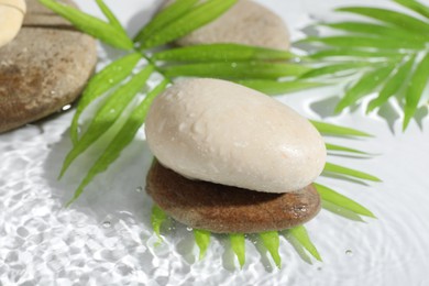 Spa stones and palm leaves in water on white background