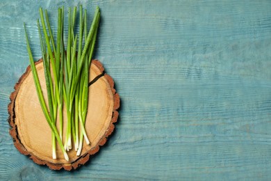 Photo of Fresh green onion on blue wooden table, top view. Space for text