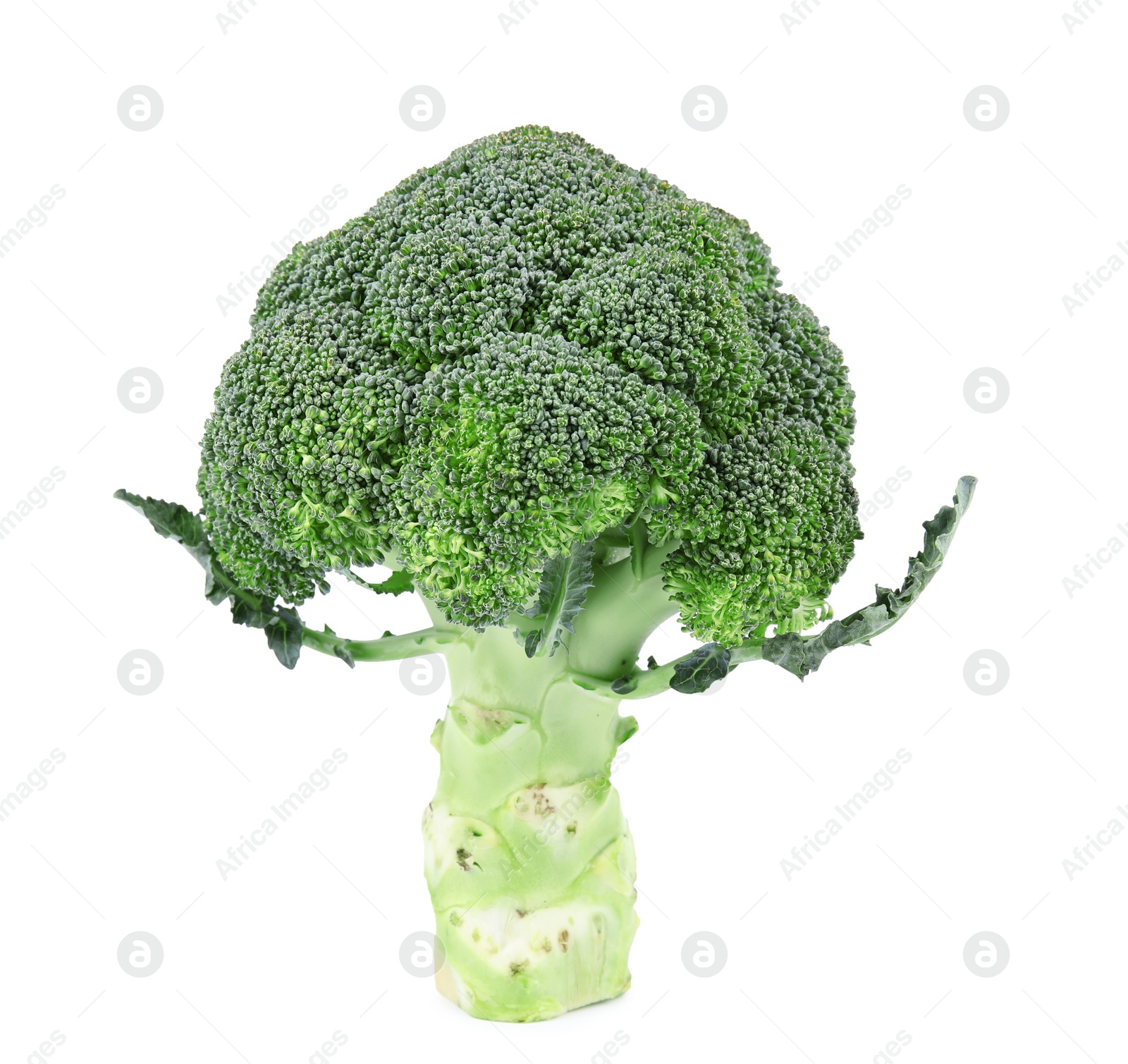 Fresh green broccoli on white background. Organic food Photo of Fresh green broccoli on white background. Organic food