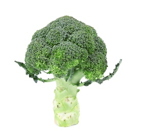 Photo of Fresh green broccoli on white background. Organic food