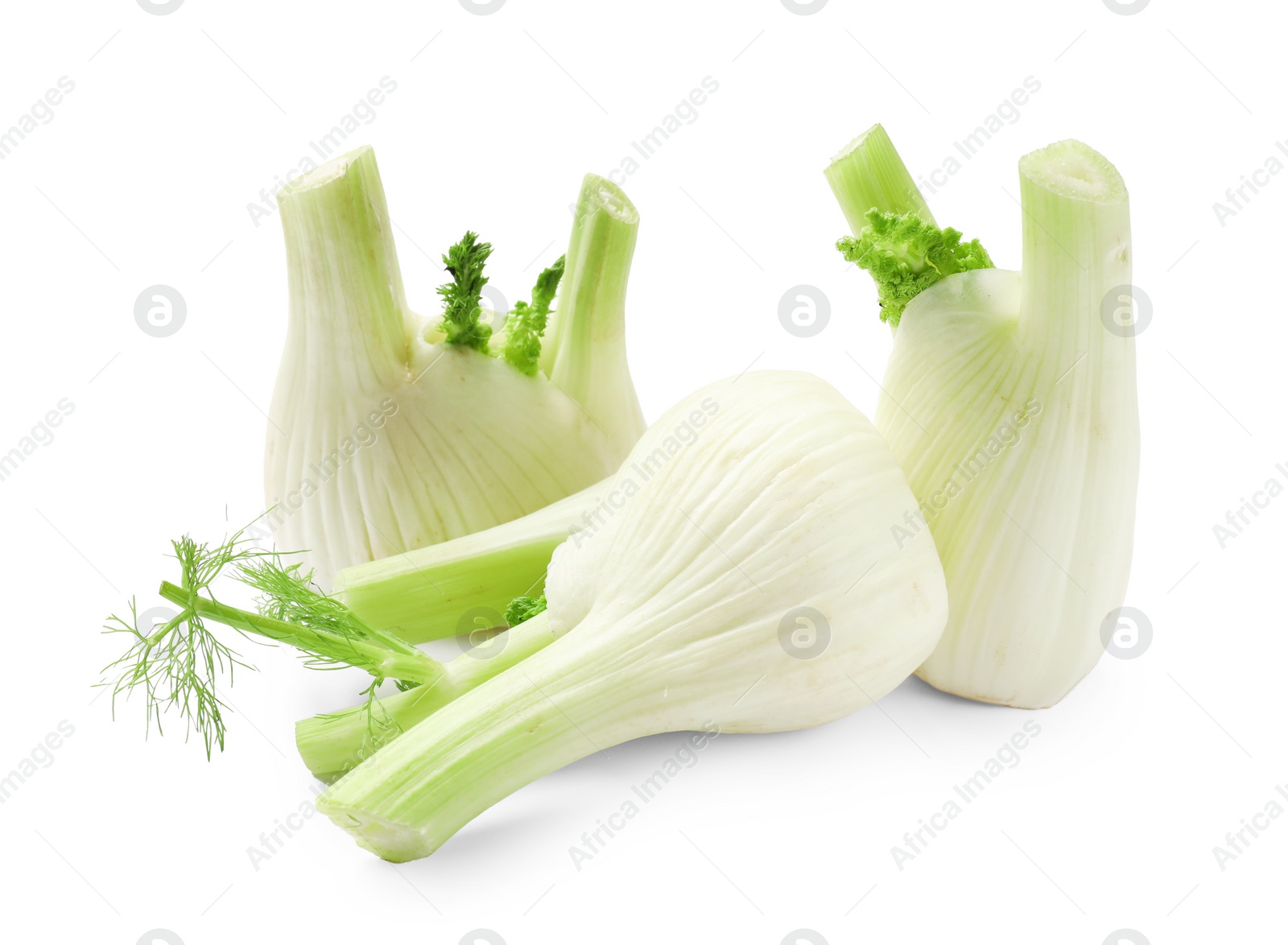 Photo of Fresh raw fennel bulbs isolated on white
