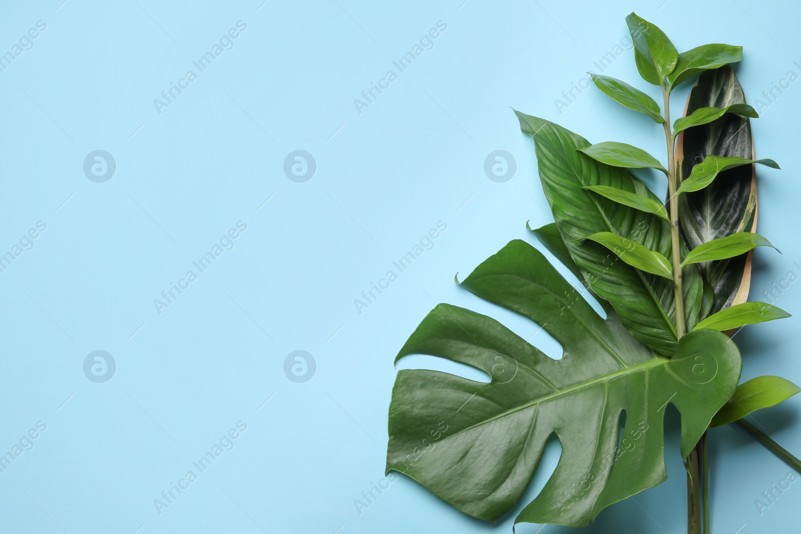 Photo of Flat lay composition with tropical leaves and space for text on color background