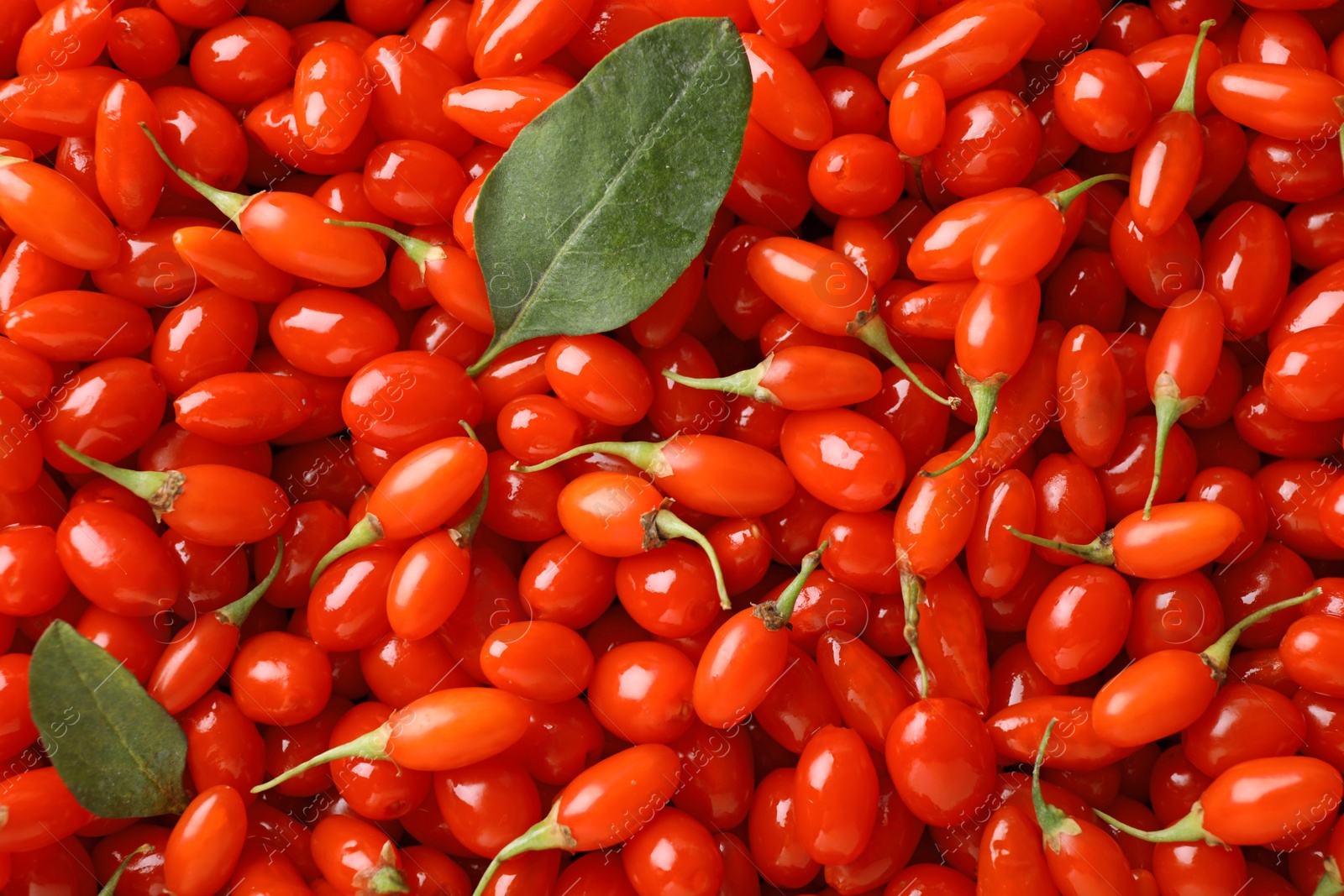 Photo of Fresh ripe goji berries with leaves as background, top view