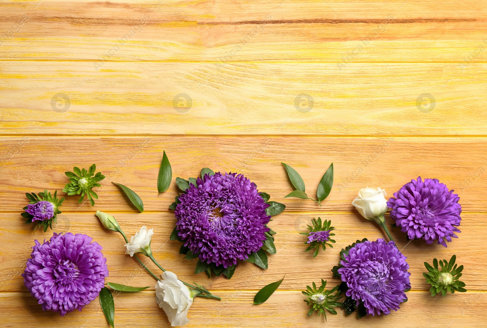 Photo of Beautiful asters and space for text on wooden background, flat lay. Autumn flowers