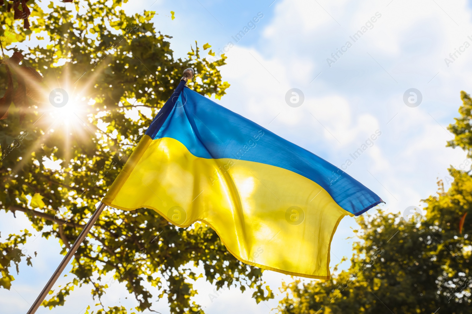 Photo of National flag of Ukraine fluttering on sunny day outdoors