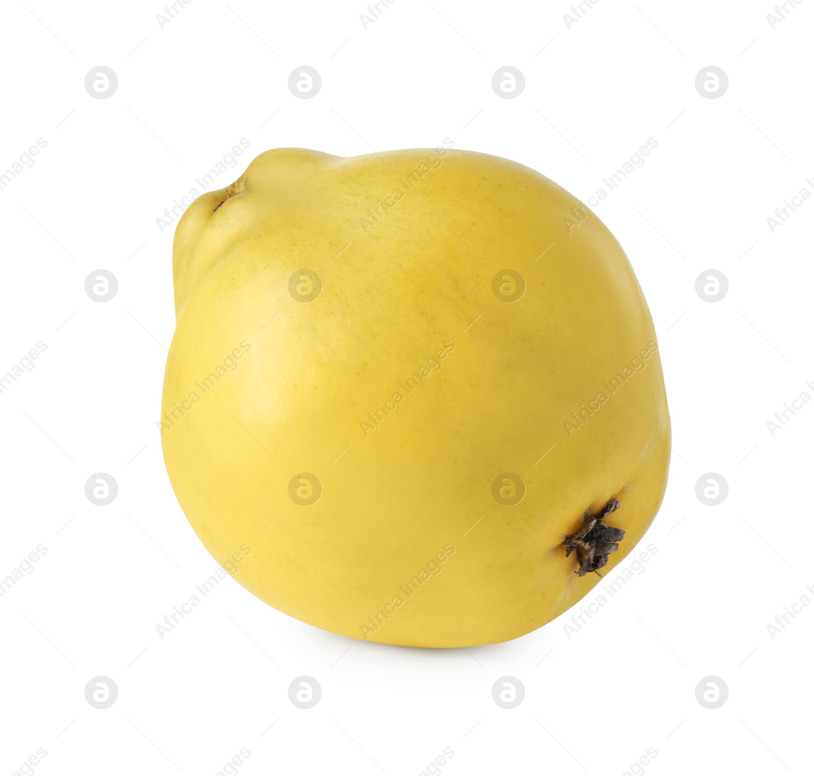 Photo of Delicious fresh ripe quince isolated on white