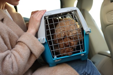 Woman with pet carrier travelling with dog her by car, closeup