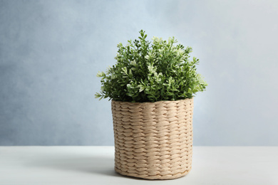 Artificial plant in wicker flower pot on white wooden table