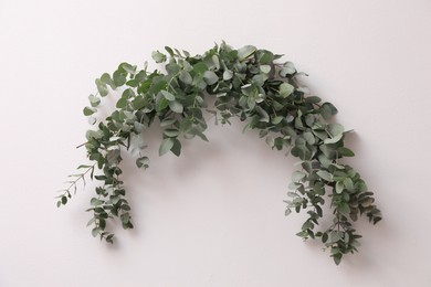 Beautiful garland made of eucalyptus branches hanging on white wall