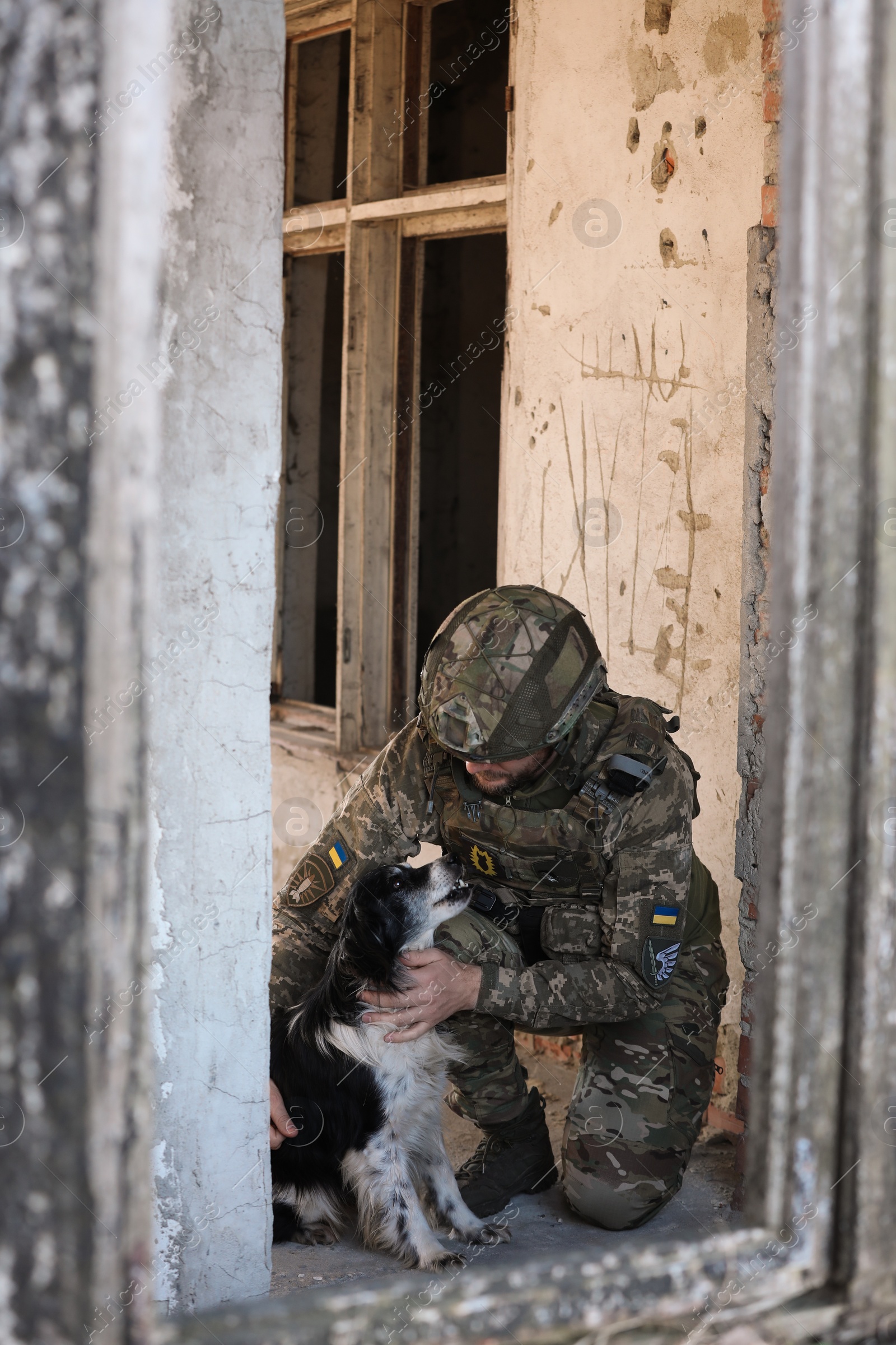 Photo of Ukrainian soldier with stray dog in abandoned building