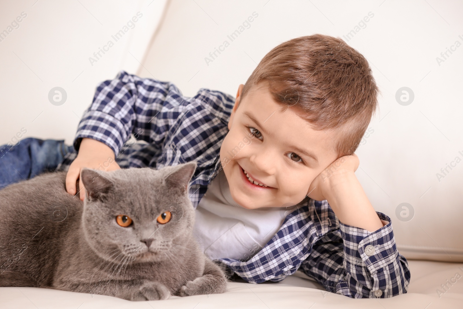 Photo of Cute little child with cat at home