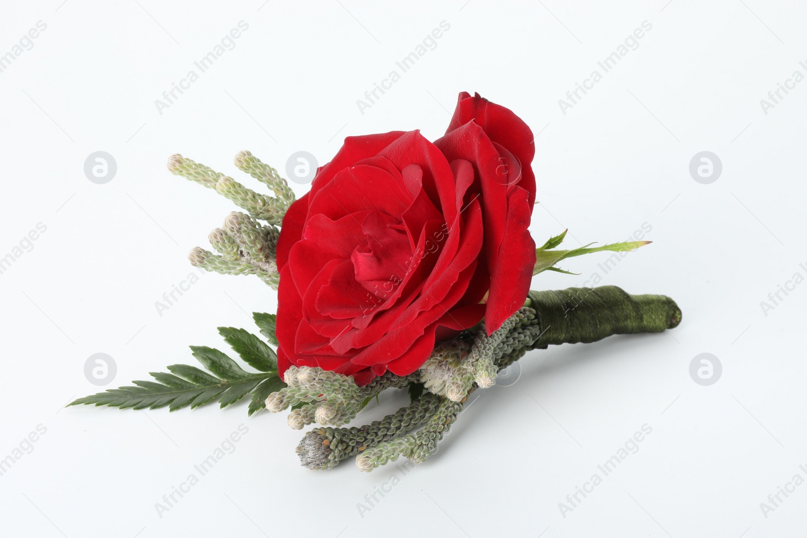 Photo of One stylish red boutonniere on white background