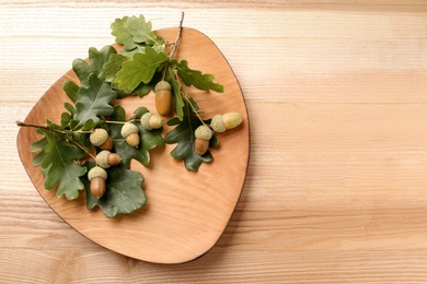 Photo of Acorns and oak leaves on wooden table, top view. Space for text