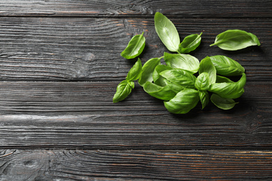Photo of Fresh green basil on black wooden table, top view. Space for text