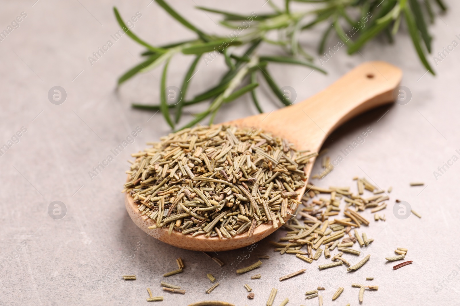 Photo of Wooden spoon with dry rosemary on light grey table, closeup