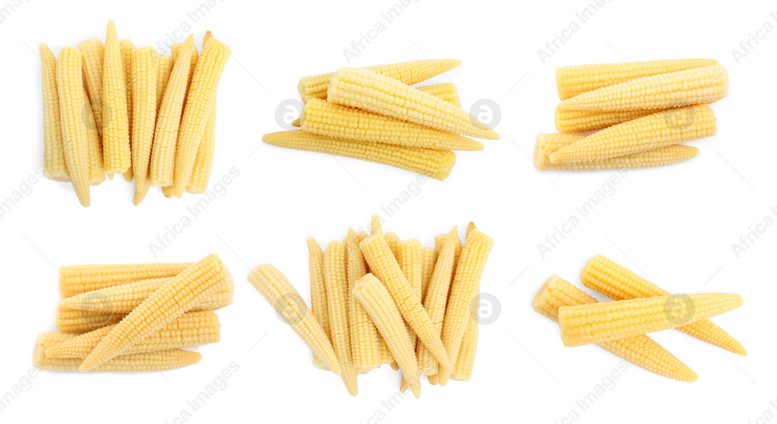 Image of Set with tasty baby corn cobs on white background 