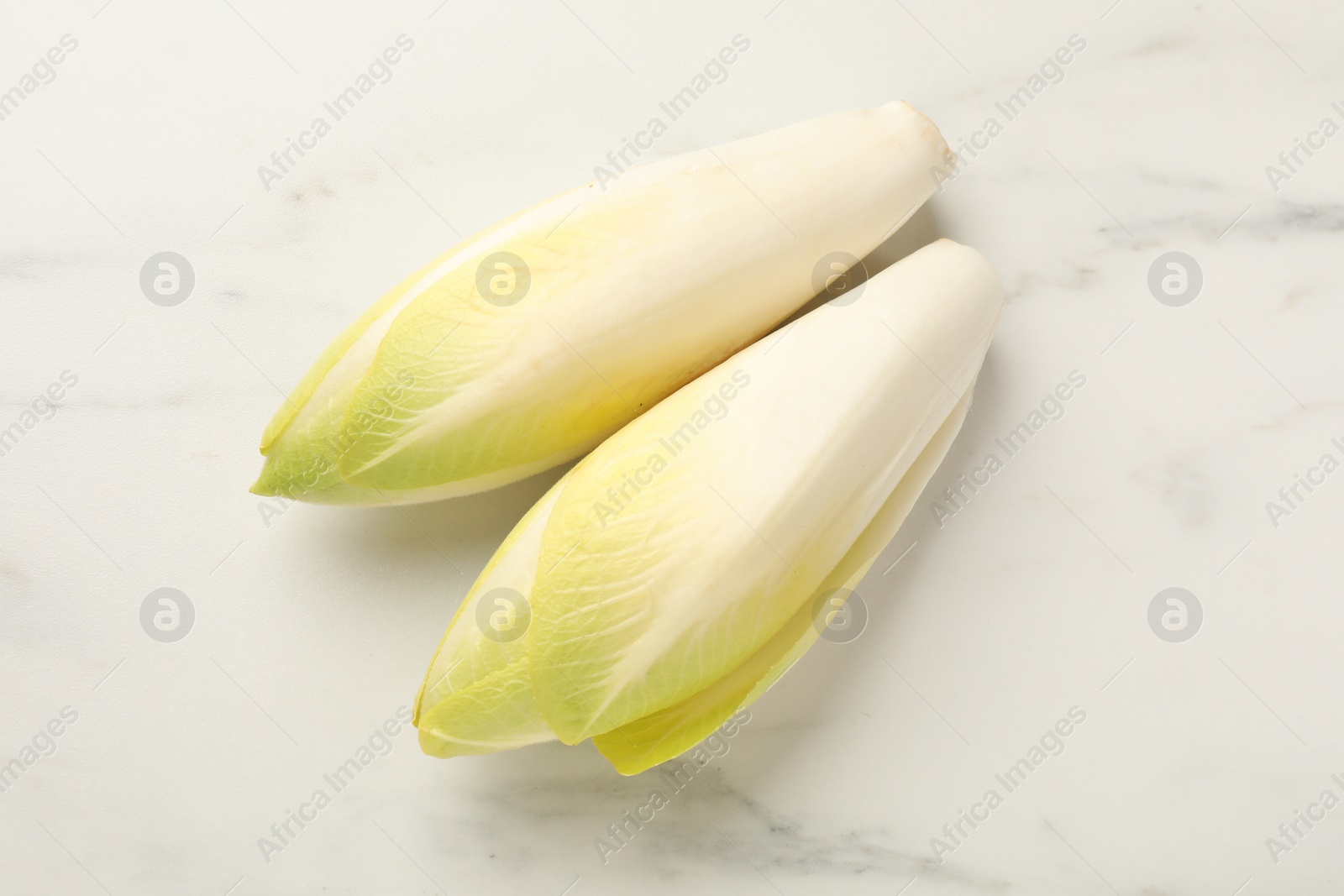 Photo of Raw ripe chicories on white marble table, top view