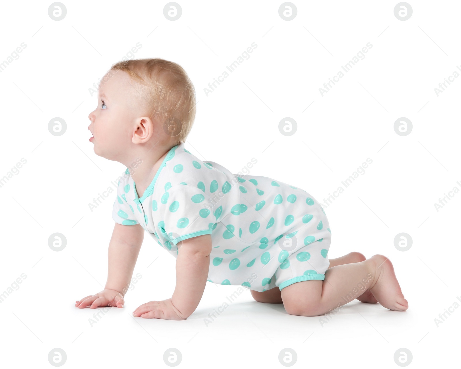 Photo of Cute little baby crawling on white background