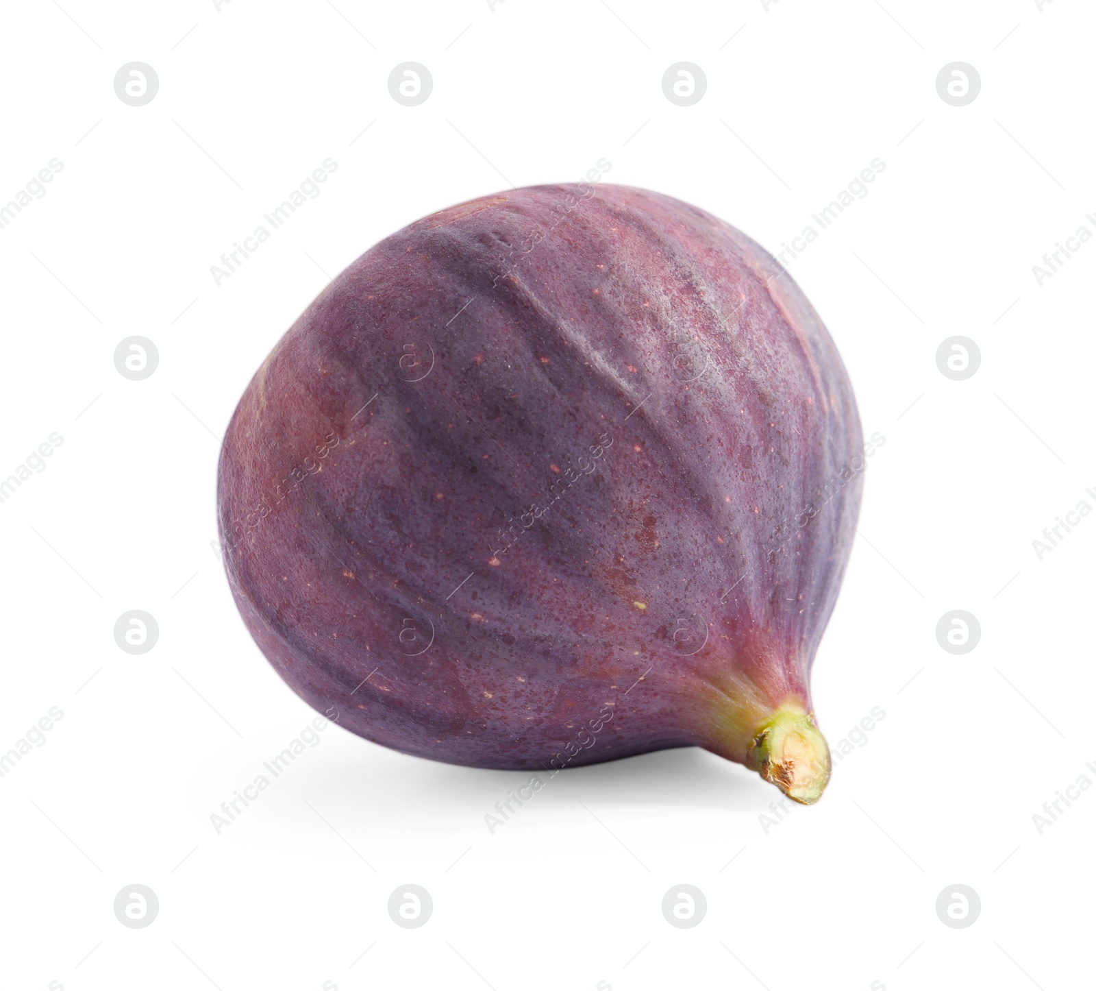 Photo of Whole ripe fresh fig isolated on white