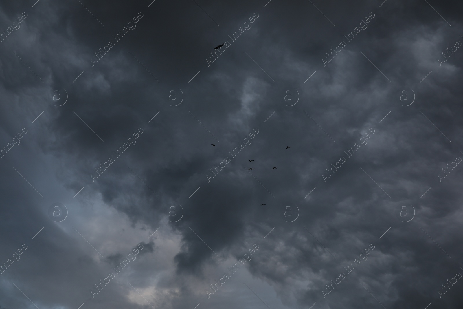 Photo of Picturesque view of birds in sky with heavy rainy clouds