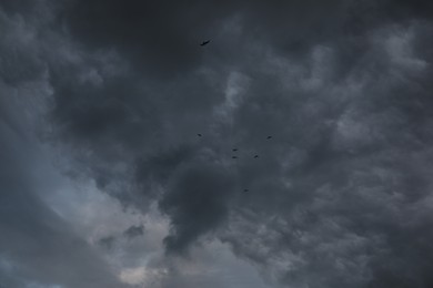 Picturesque view of birds in sky with heavy rainy clouds