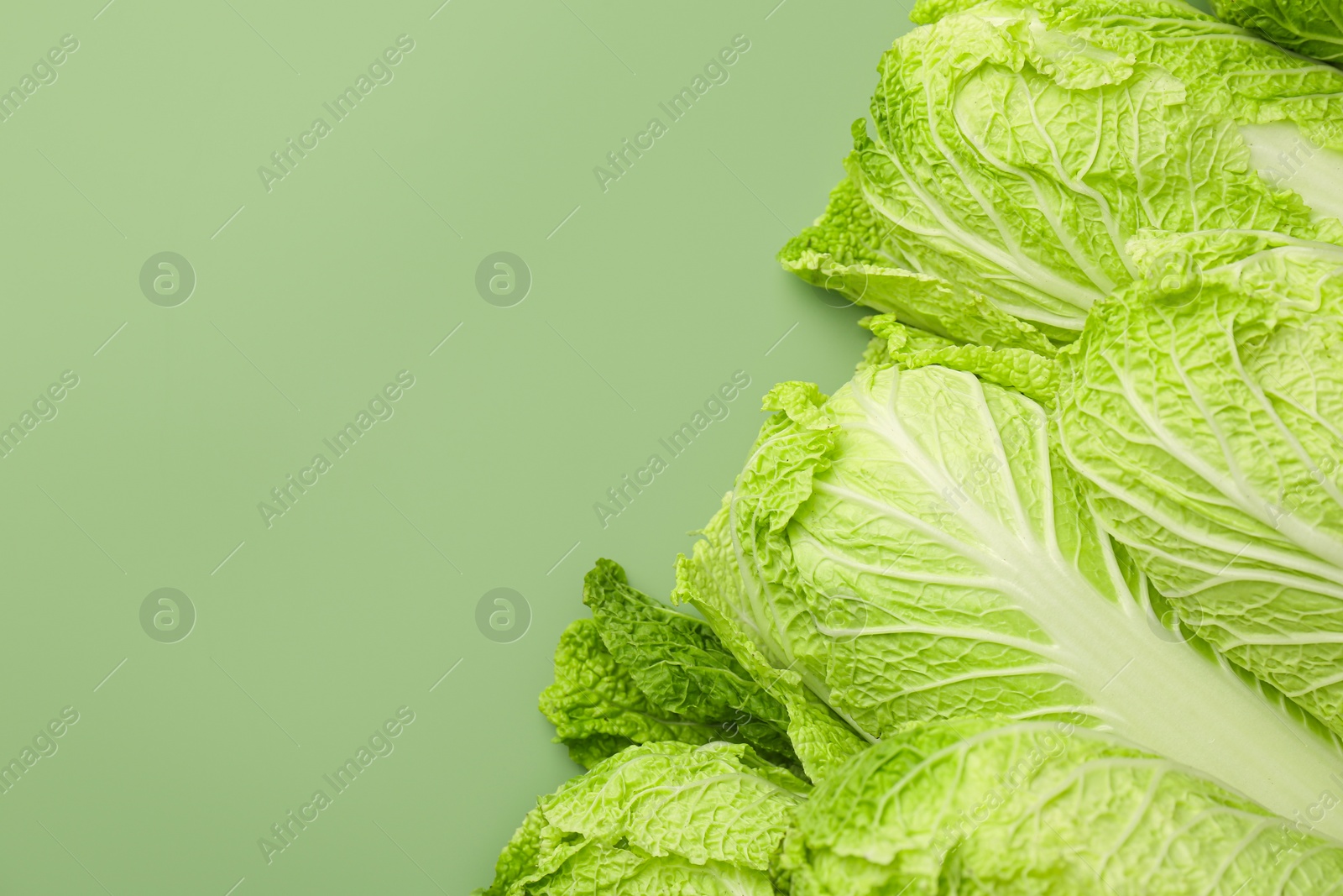 Photo of Many fresh Chinese cabbages on pale green background, top view. Space for text