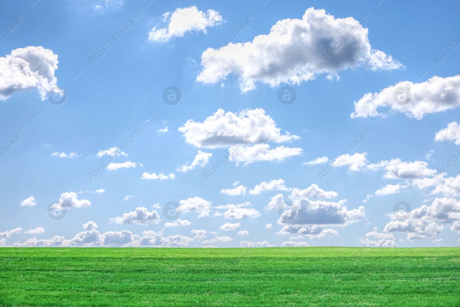 Image of Beautiful green field under blue sky with clouds