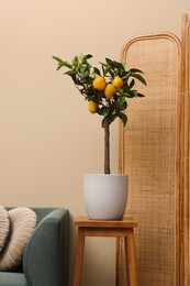 Photo of Idea for minimalist interior design. Small potted lemon tree with fruits on wooden table in living room