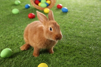 Cute bunny and Easter eggs on green grass