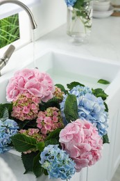 Beautiful light blue and pink hortensia flowers in kitchen sink